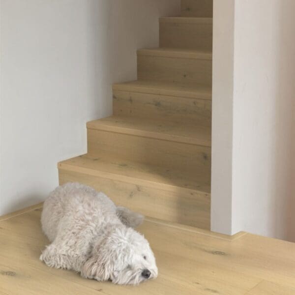 QUICK-STEP Cala Rovere bianco perla extra opaco 13x220x1820/2200mm - immagine 4