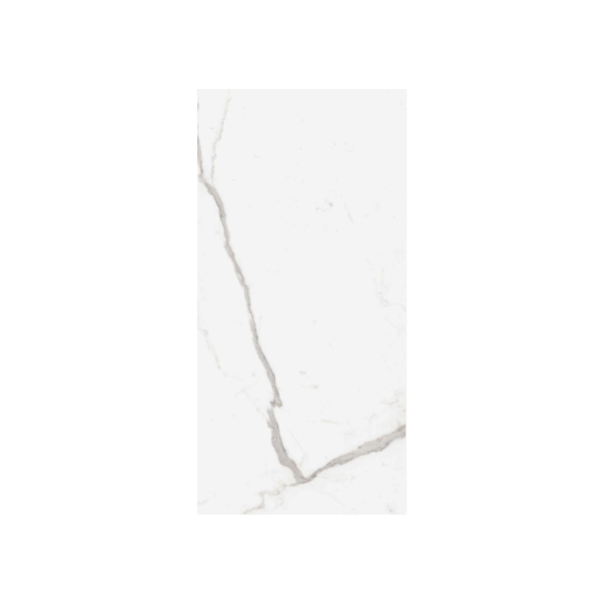 RAGNO Incanto 60x120 Statuario Venato - immagine 2